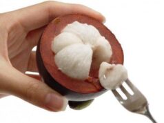 Мангустин – экзотика и великолепный вкус