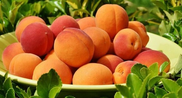 Кому нельзя есть абрикосы и персики