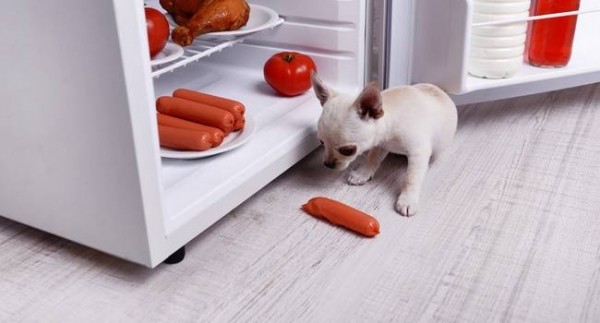 Сколько можно безопасно хранить в холодильнике готовую еду