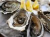 Устрицы – изысканный и утонченный деликатес, полезный для человека