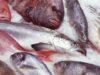 Свежемороженая рыба отменного качества