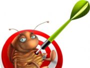 Дезинсекция от тараканов — как эффективный метод борьбы с насекомыми