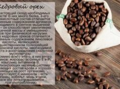 Польза кедрового ореха