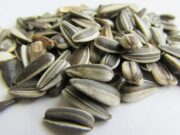 К чему снятся семечки