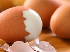 Мифы и правда о белковых продуктах