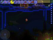 Как заселить трюфеля в Terraria?