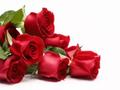 Как поздравить женщину с 8 марта