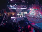 Стриптиз: искусство эротики и популярное развлечение