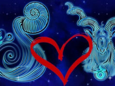 Телец и Водолей: совместимость в разных сферах жизни