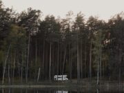 Где находятся сохранения Dying Light 2 в Steam