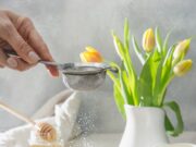 Блинчики на кислом молоке: рецепт